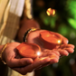 Sensor LED Reusable Water Diyas Bright Long