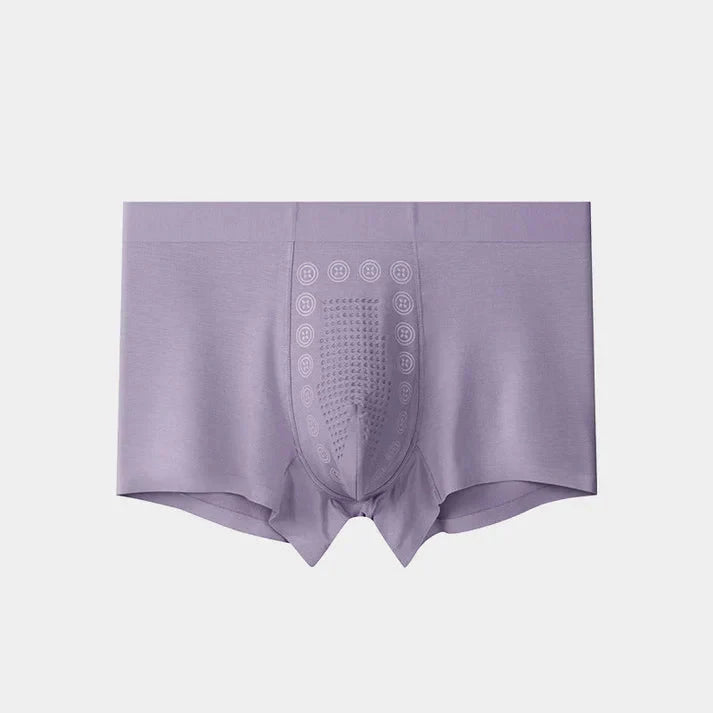 Mens Ice Silk Briefs Boxers Buy Get