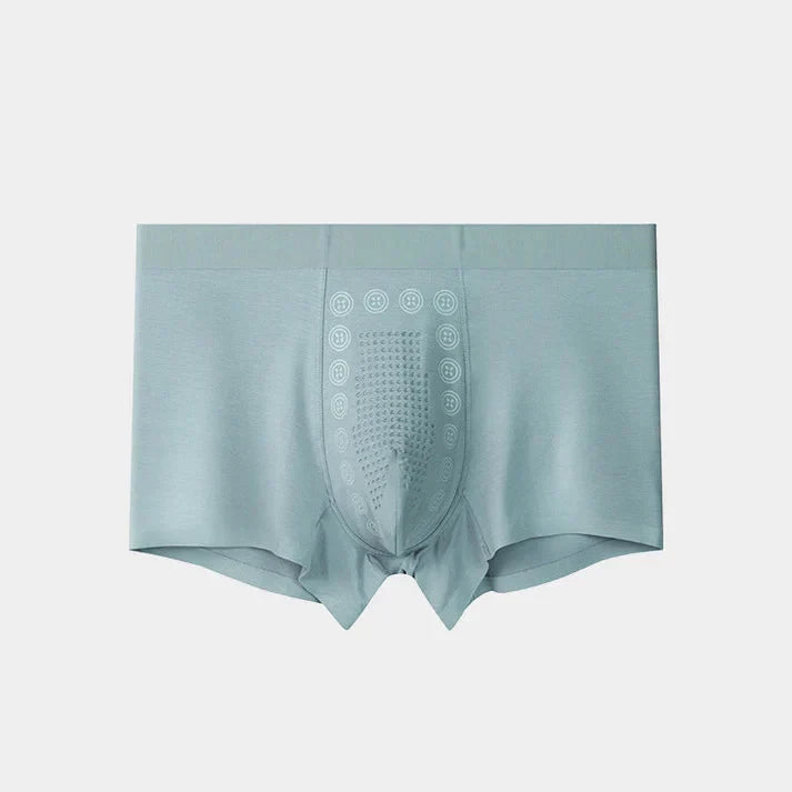 Mens Ice Silk Briefs Boxers Buy Get